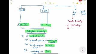 Lymphocytes haematology 13 First Aid USMLE Step 1 in UrduHindi [upl. by Eseuqram]