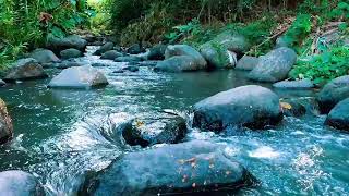 Relaxing birds amp water sounds nature river sounds for sleep meditation relaxation flowing water [upl. by Sloan]