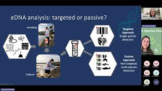 Webinar using eDNA to detect invasive non native species [upl. by Dynah594]