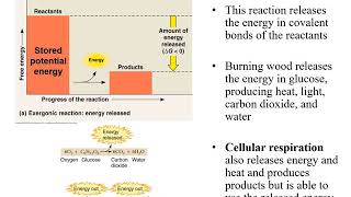 Chapter 7 Microbial Metabolism [upl. by Ahsilrak]