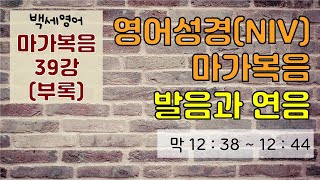 고급발음자료  마가복음 39강 과부는 모든 것을 드렸다  발음 억양 연음 익히기  발음과 듣기실력 동시향상  영어성경통독 [upl. by Yasdnil]