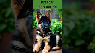 What Makes a Reputable German Shepherd Breeder [upl. by Behnken]