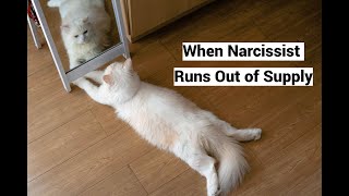 When Narcissist Runs Out of Supply Selfsupply Compilation [upl. by Zicarelli]