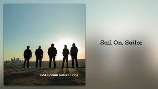 Los Lobos quotSail On Sailorquot from Native Sons [upl. by Tooley]