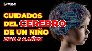 CUIDADOS DEL CEREBRO en la primera infancia  Cómo cuidar el cerebro de un niño de 0 a 6 años [upl. by Orabel13]