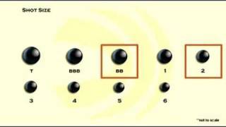Choosing Shot Size [upl. by Yaker99]