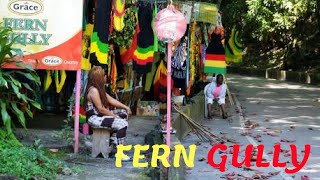 OCHI RIOS  FERN GULLY PART 1 Jamaican YouTuber [upl. by Eiramyllek431]