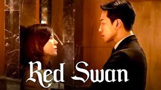 CISNE VERMELHO 2024  Trailer Oficial HD Red Swan [upl. by Ammadas]