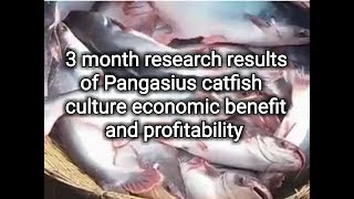 Pangasius catfish culture and farming method [upl. by Aneerbas]