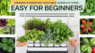 Growing Hydroponic Vegetable Garden at Home  Easy for Beginners [upl. by Newcomer]