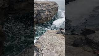 Wexford moment wexford ireland travelvlog sealovers natureshorts naturelovers naturesounds [upl. by Bazil]