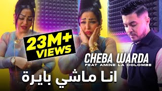 Cheba Warda ft Amine La Colombe  Ana Machi Bayra 2023 شابة وردة وامين الكولومب  انا ماشي بايرة [upl. by Ailaham]