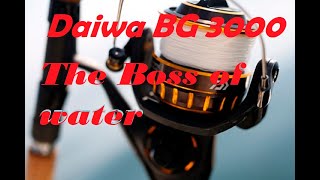 Daiwa BG 3000 Spinning Reel Reviews  The Boss of HighPerformance spinningrod BG3000 [upl. by Attennek]