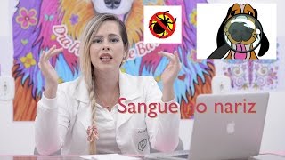 SANGUE PELO NARIZ DO SEU CÃO O QUE PODE SER  O QUE FAZER [upl. by Scheer]