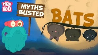 Bats – Myths Busted  The Dr Binocs Show  Learn Videos For Kids [upl. by Ellirpa]