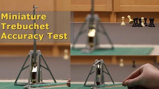 Miniature Trebuchet  Test of Accuracy [upl. by Aneerhs]