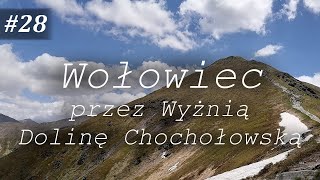 WOŁOWIEC 2063m przez Wyżnią Dolinę Chochołowską TATRY ZACHODNIE 2022 [upl. by Sone]