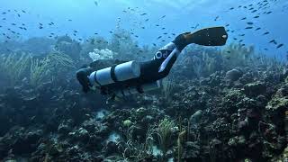 Stay Underwater TWICE as Long with Sidemount DIVETALK meetup in Bonaire sidemount sidemountdiving [upl. by Maguire]