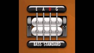 Perfect Guitar Tuner Bass E Standard  E A D G [upl. by Nnayt167]