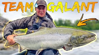 CATCHING GIANT SALMON Bergeforsen  Best Salmon Fishing in the World  Team Galant [upl. by Brecher836]