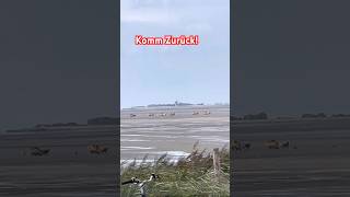 Zurück von Neuwerk duhnen trending cuxhaven urlaub beach [upl. by Zitella]