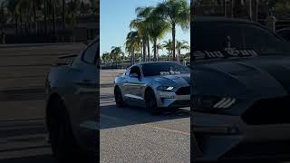 Mustangs Sliding Out of Provisions Cars amp Coffee [upl. by Mcafee752]