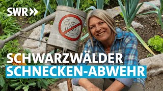 Die SchneckenJägerin 56  Mein leckerer Garten [upl. by Venola]