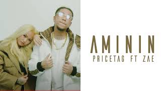 Aminin  Pricetag ft Zae Lyrics video [upl. by Sivaj]