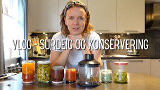 Vlog  Surdeig fermentering og konservering [upl. by Hailahk]