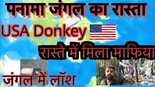 USA🇺🇸Donkey Panama 🇵🇦 JungleFull Details Video Starting se Last tak mexicoborder travel [upl. by Gabrila]