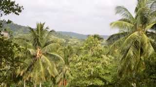 Na Uyana Forest Monastery Sri Lanka [upl. by Etnaik]