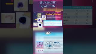 LAP Score for Leukemoid Reaction vs CML [upl. by Imogen574]