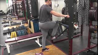 Standing Hip Flexion Single Leg AFSM Cocontraction Speed Triphasic Training [upl. by Akeylah]