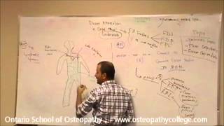 Lymphatic System and Edema  By Dr Mohsen Talani [upl. by Kellby]