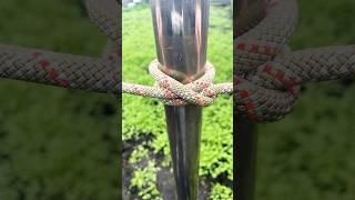 Essential Knot Fast Simple Reliable 🪢 knottutorial campingknots knot dailylifehacks [upl. by Rehpitsirhc]