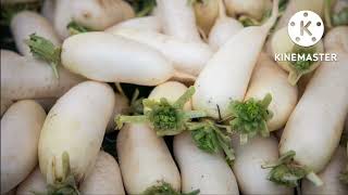 Radish Health Benefits  ಮೂಲಂಗಿ ಆರೋಗ್ಯ ಪ್ರಯೋಜನಗಳು [upl. by Sparke]