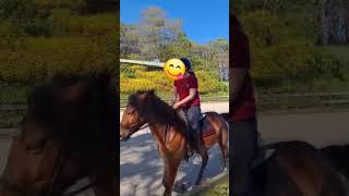 One of hazels little spicy moments 🤣 fypシ゚viral horse hearthorse [upl. by Natsyrk]