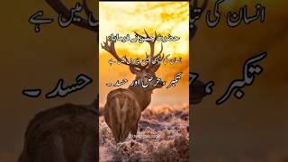 Hazrat Hassan ra quotes 🌹 I aqwal e Zareen verysadpoetryinurdu [upl. by Eirised780]