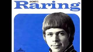 Björn Ulvaeus ABBA  Raring 1968 Honey  Subtitles [upl. by Enitnatsnoc]