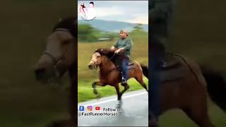 विदेशी घोड़े की सिंधी चाल 🏇 horseriding horselover sindhihorse animal horse horseshorts [upl. by Sedgewick15]