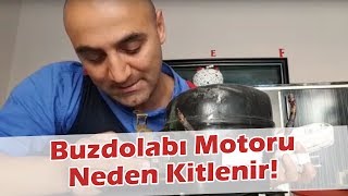 Buzdolabınız Soğutma Yapmıyorsa Bunun Bir Nedeni de Bu Olabilir Buzdolabı Motoru Neden Kitlenir [upl. by Ferdinande938]