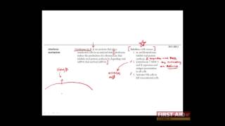 First Aid for the USMLE Step 1 IMMUNOLOGY  11  Cytokines Interferons [upl. by Firestone107]