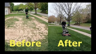 Step by Step Guide to OVERSEEDING Better looking lawn FAST [upl. by Ewell757]