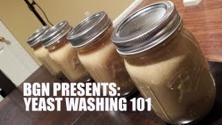 Yeast Harvesting and Washing 101  Beer Geek Nation Homebrew Videos [upl. by Arvad]