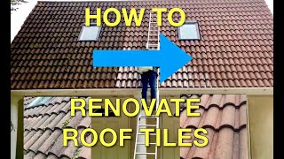 How to Renovate Roof Tiles  Klll Moss amp Restore Colour [upl. by Lambart184]