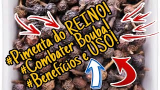 Pimenta Do Reino Para Galinhas Ajuda a Combater a Bouba Aviaria Benefícios e Uso [upl. by Cyrille]