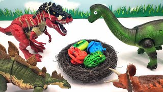 5 Dinosaur Laying Eggs Hatching Jurassic World Dinosaur Eggs TRex Stegosaurus Brachiosaurus [upl. by Lanna]