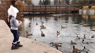 FEEDING DUCKS IN RIVERFRONT PARK  SPOKANE WA  ANNA LYN KENDALL [upl. by Aleunam]