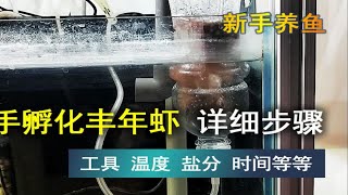 新手孵化丰年虾的详细步骤，建议收藏 [upl. by Penman]