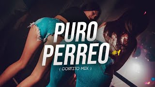 PURO PERREO 1  CORTITO MIX   MAURO RMX [upl. by Hugh]